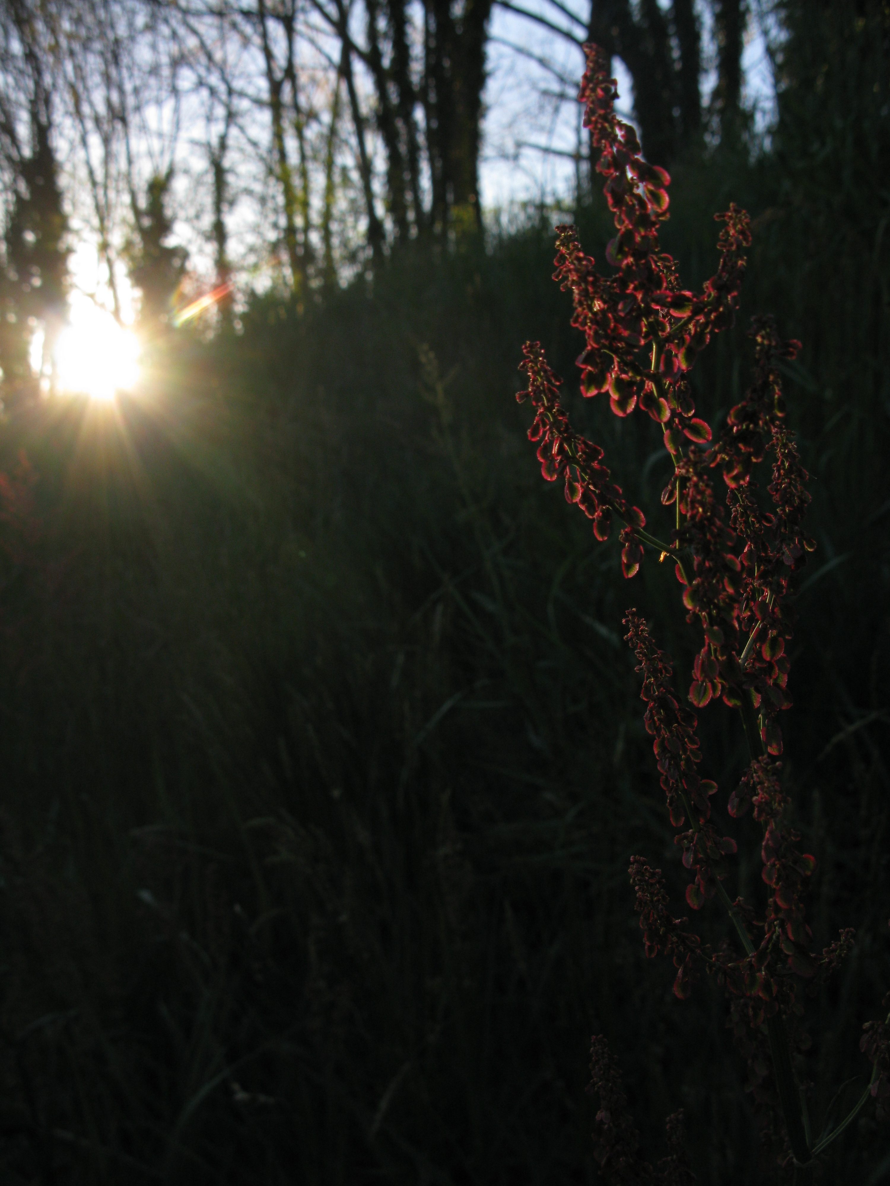 Luci incerte II – Uncertain lights II