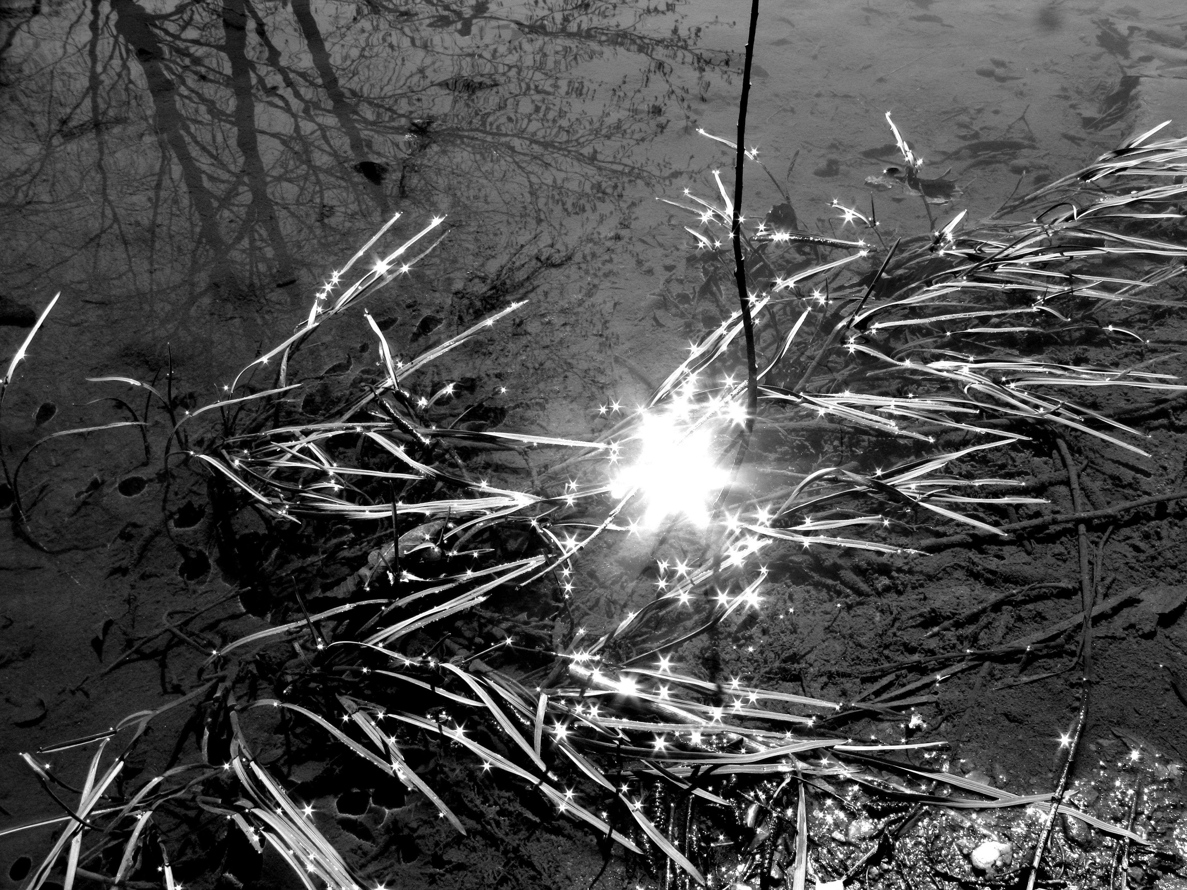 Luci incerte – Uncertain lights