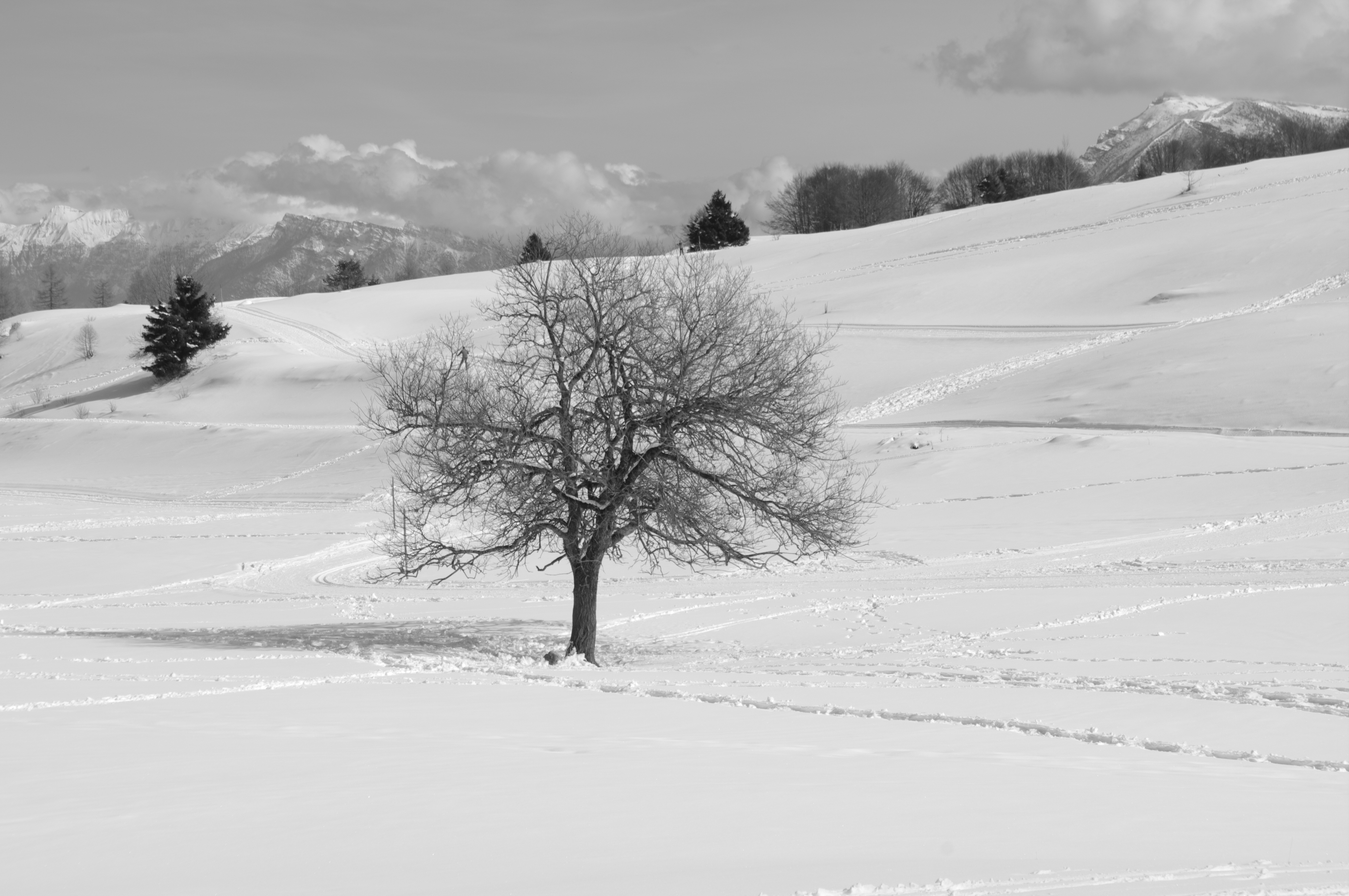 Storie alpine – una serie radiofonica sulle montagne d’Europa