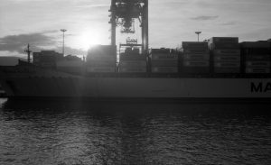Algeciras