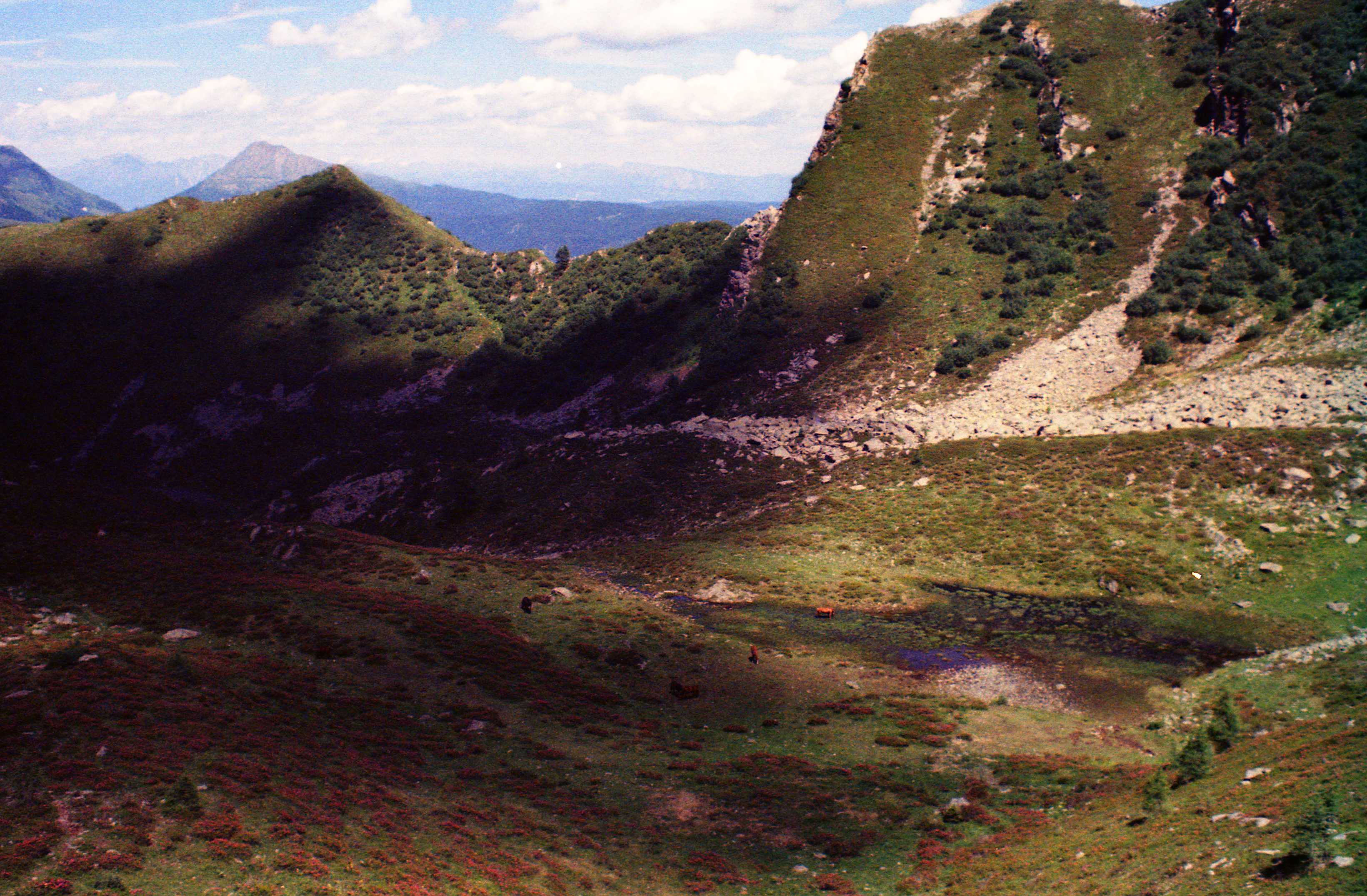 Sul Monte Pin