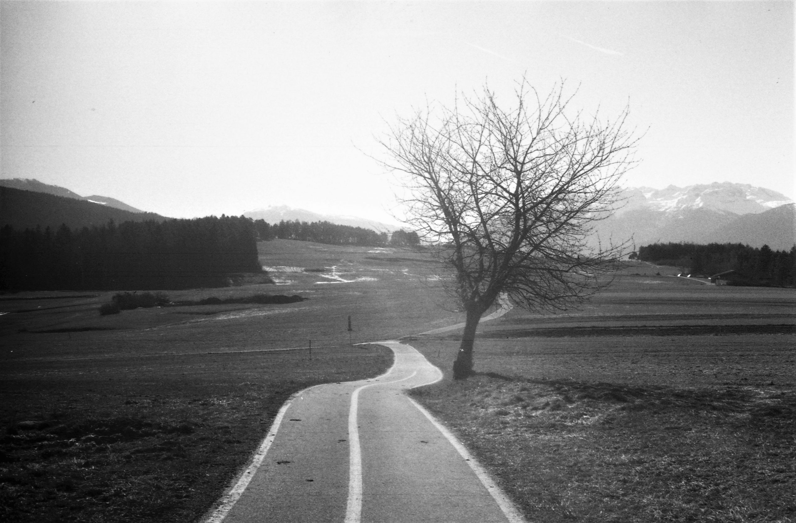 Non solo meli – Val di Non